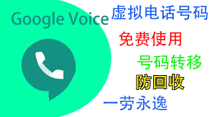 Google Voice